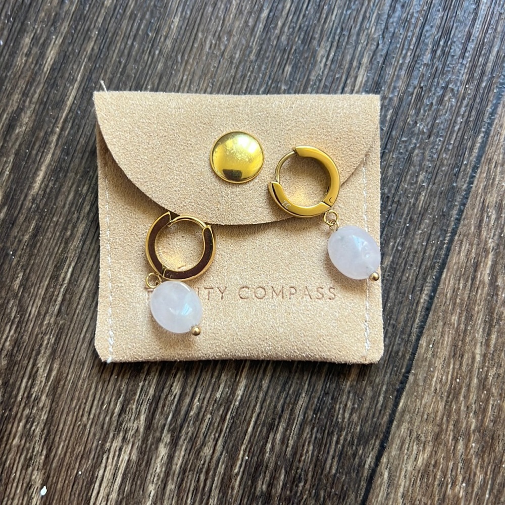 Twenty Compass Earrings
